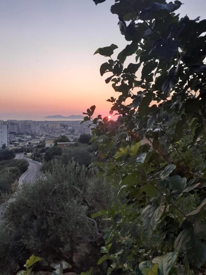 Vila Oliven Vlorë Esterno foto