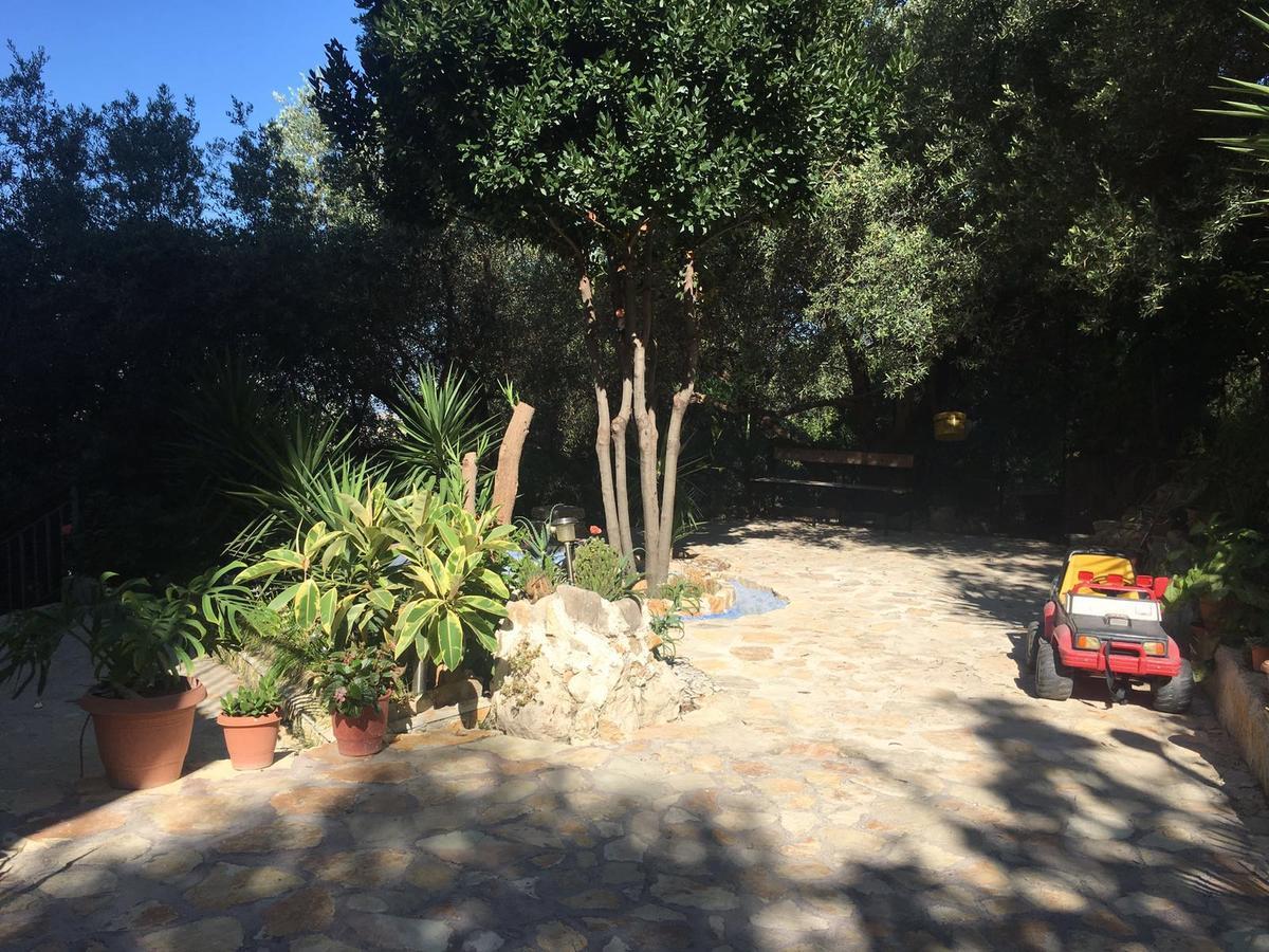 Vila Oliven Vlorë Esterno foto