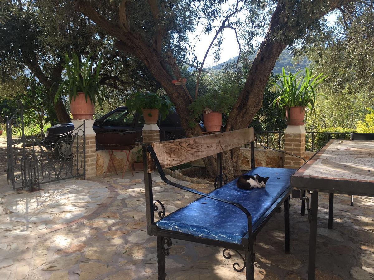 Vila Oliven Vlorë Esterno foto