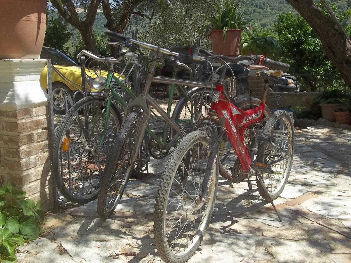 Vila Oliven Vlorë Esterno foto